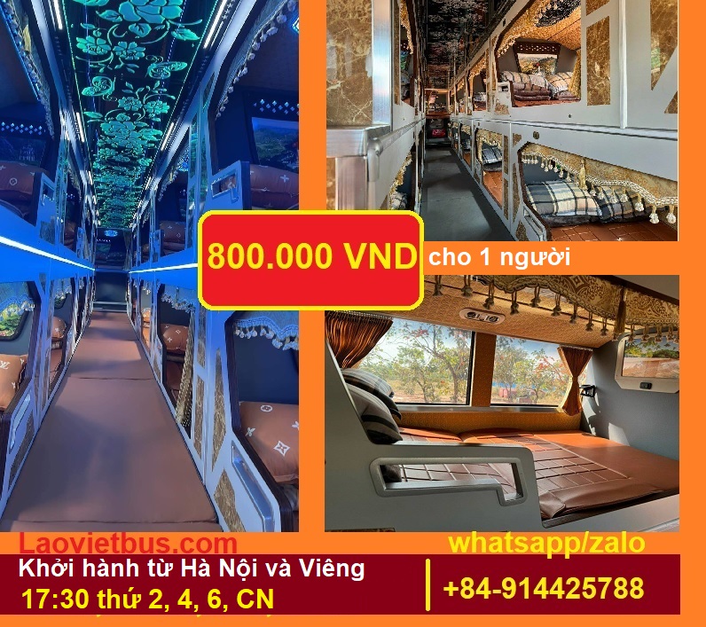 vip cabin Laovietbus vn
